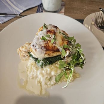 Claytons Siesta Grille - Fish - New American Near Me - Sarasota, Florida Claytons Siesta Grille - Fish - New American Near Me - Sarasota, Florida