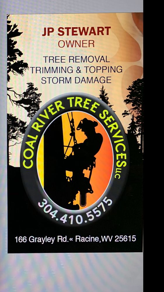 Coal River Tree Services - tree service in Charleston, WV