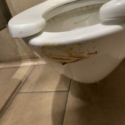 There is no excuse for a women's bathroom toilet to look like this There is no excuse for a women's bathroom toilet to look like this