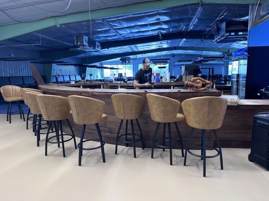 The Pool Turtle by null