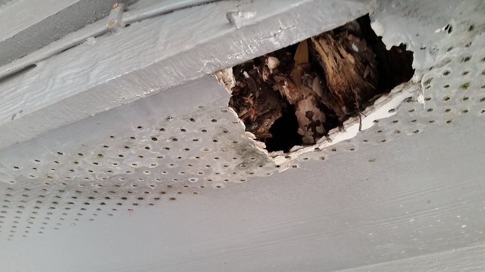 Slide of Allied Siding and Windows