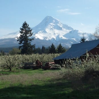 Solera Brewery - April 27, 2013 - Breweries Near Me - Mount Hood Parkdale, Oregon Solera Brewery - April 27, 2013 - Breweries Near Me - Mount Hood Parkdale, Oregon