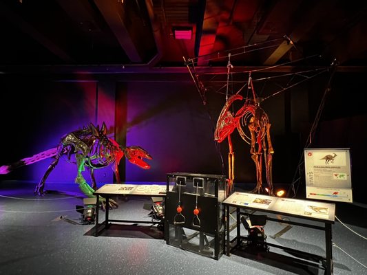Museum of Discovery and Science by null