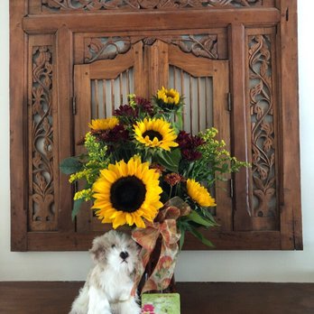 Incahoots - I am so pleased with the floral arrangement and puppy I ordered for a friend from Incahoots! It is gorgeous! - Florists Near Me - McMinnville, Oregon Incahoots - I am so pleased with the floral arrangement and puppy I ordered for a friend from Incahoots! It is gorgeous! - Florists Near Me - McMinnville, Oregon