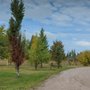 Photo of Cedar Creek Resort