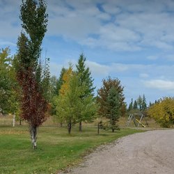 Cedar Creek Resort - The view around the grounds.