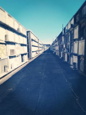 St Vincent De Paul Cemetery by null