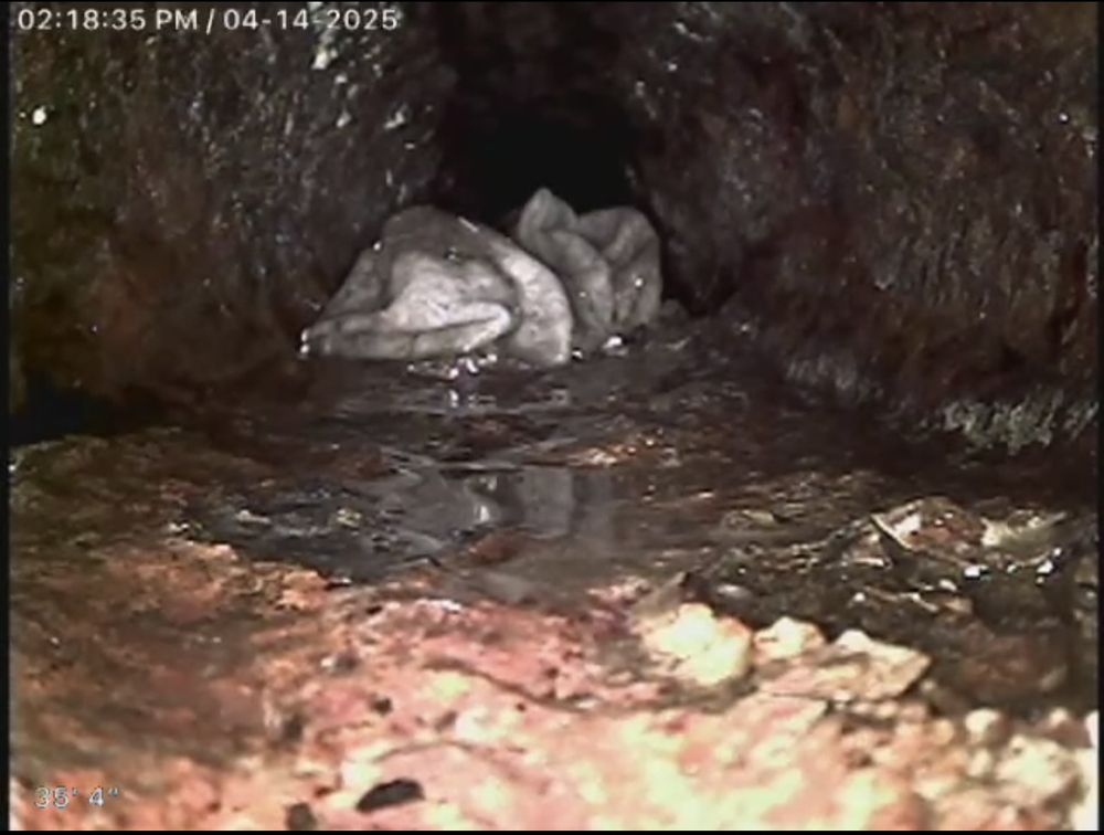 Slide of Flow Tech Drain Cleaning & Plumbing