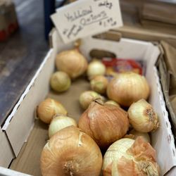 Wilkins Farm Stand & Florist