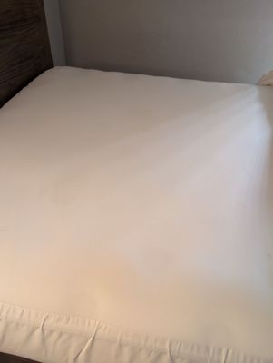 Quality Inn & Suites By the Parks by null