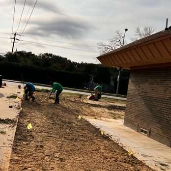 Jose‘s Tree Services - Sod/Fresh installation & preparation - Tree Services Near Me Jose‘s Tree Services - Sod/Fresh installation & preparation - Tree Services Near Me