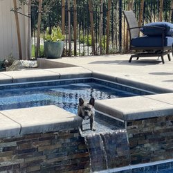 Pawsitive Training Center