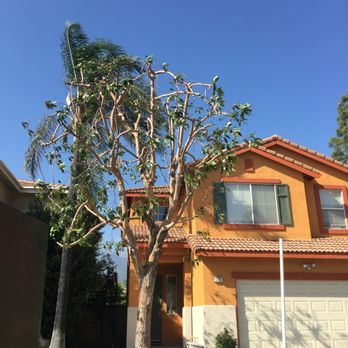 Salvador's Tree Services - Tree Services Near Me - Bloomington , California
