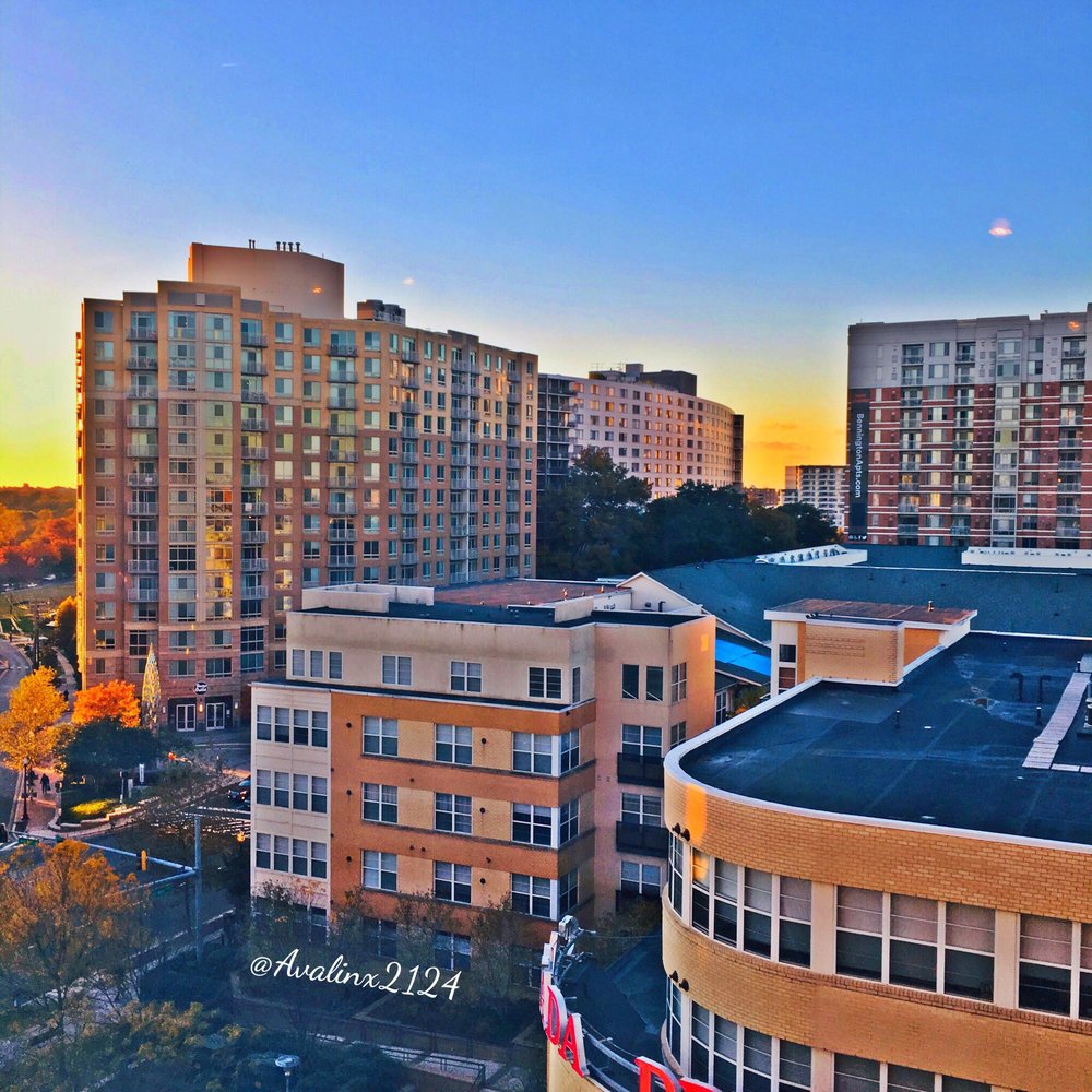 THE VERIDIAN APARTMENTS 34 Photos & 54 Reviews Apartments 1133