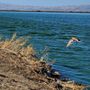 Photo of Sunnyvale Bay Trail