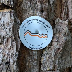 The trail runs concurrent with the Mountains to Sea trail, so you can snag a section close to town!