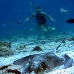 VI SNUBA Excursions on St. John - Stingray, Trunk Bay, St. John