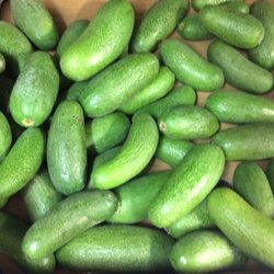 Au Temps des Fruits - #avocatcocktail by @autempsdesfruits