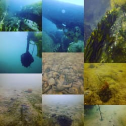 Seascapes USA - A collection of photos from local Long Island dives.