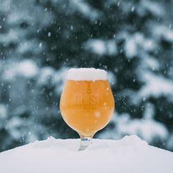 Frost Beer Works