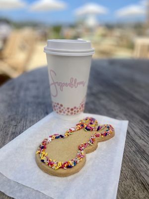 The Mission Bay Beach Club by null