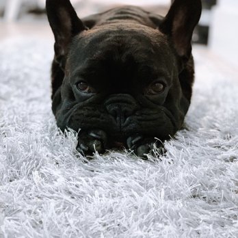 Michael Butchko, DVM - Veterinarians Near Me - Riverside, California