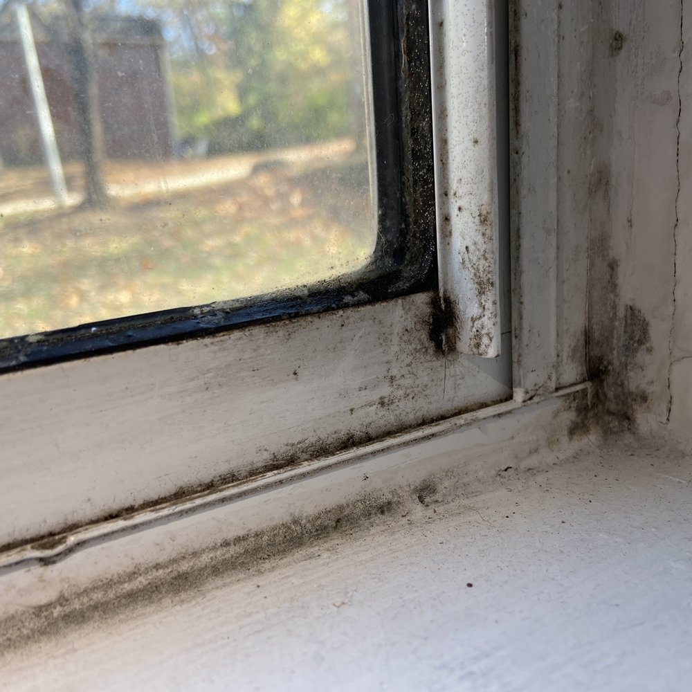 Park Meadows Apartments - Mold aka "condensation" - Apartments Near Me - Manchester, Missouri Park Meadows Apartments - Mold aka "condensation" - Apartments Near Me - Manchester, Missouri