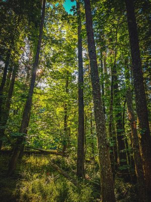 Spencer Butte Trailhead by null