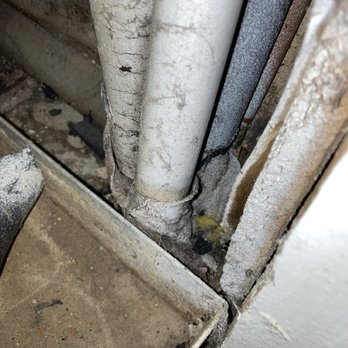 Hidden Oaks Apartments - Black mold is present in Building 1 - Apartments Near Me - San Antonio, Texas Hidden Oaks Apartments - Black mold is present in Building 1 - Apartments Near Me - San Antonio, Texas
