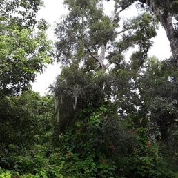 Nature!