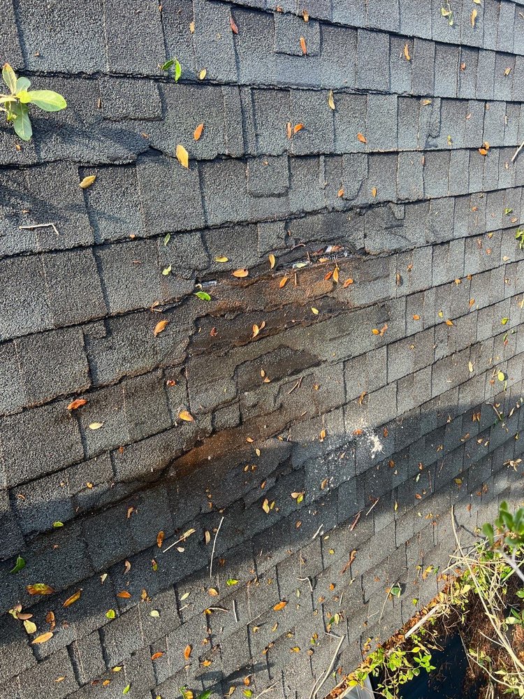 Slide of Red Fox Roofers