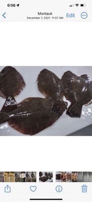 Bennett Shellfish by null
