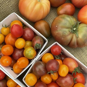 AZ-Ranch - Organic tomatoes - Ranches Near Me - Agoura Hills, California AZ-Ranch - Organic tomatoes - Ranches Near Me - Agoura Hills, California