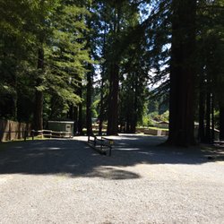 Redcrest Resort - Tent camping, pull through, back in, cabins. All under the Redwoods