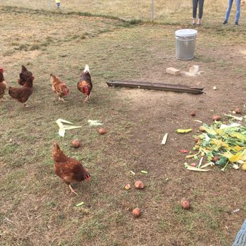 Heritage Farm - Farms Near Me - Moorooduc, VIC