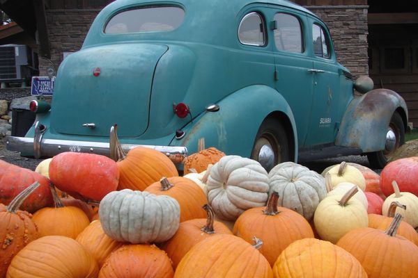 Silvara Cellars by null