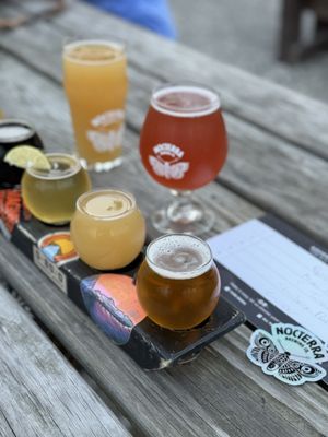 Nocterra Brewing Co. - Powell by null