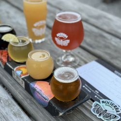 Nocterra Brewing - Flight and additional drinks