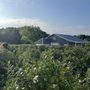 Photo of Little Hill Berry Farm