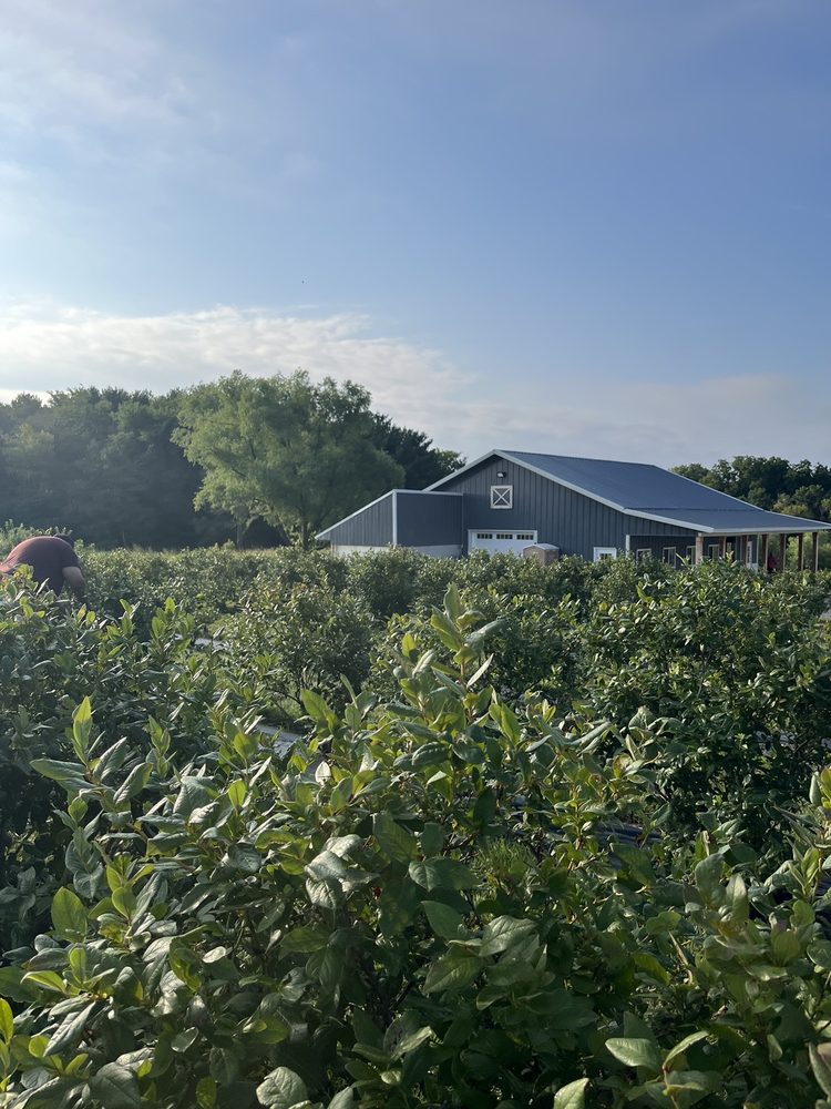 Social spots from Little Hill Berry Farm