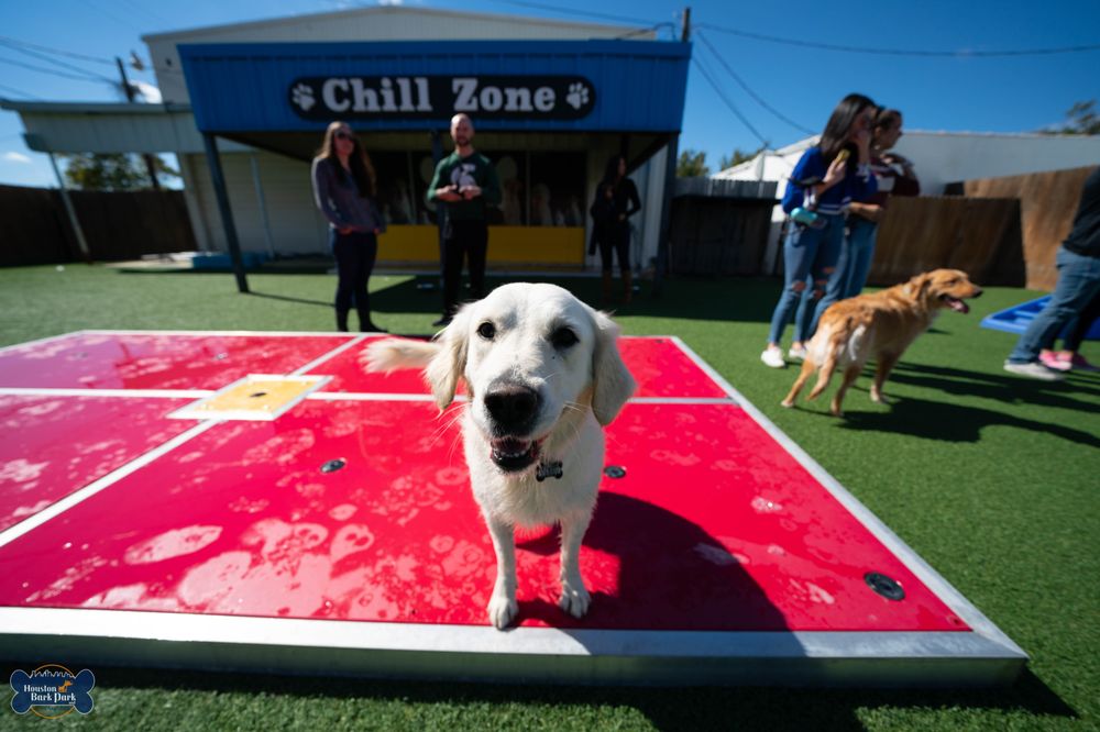 houston bark park maxie