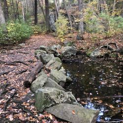 Wilson Mountain Reservation - Beautiful October morning