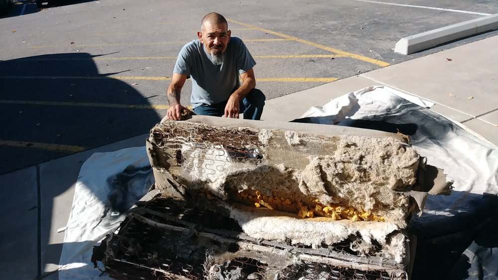 Bear Nut Upholstery - upholstery in Corrales, NM