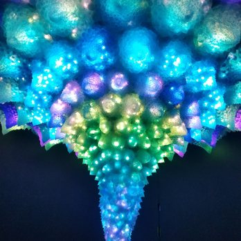 Science Mill - The most awesome broccoli ever - Museums Near Me - Johnson City, Texas