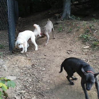Ridge Runner Pet Lodging - Pet Boarding Near Me - Boone, North Carolina Ridge Runner Pet Lodging - Pet Boarding Near Me - Boone, North Carolina