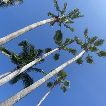 1 Hotel South Beach - Hotels Near Me - Miami Beach, Florida 1 Hotel South Beach - Hotels Near Me - Miami Beach, Florida