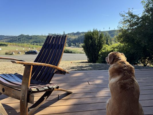 Coeur De Terre Vineyard by null