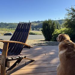 Coeur de Terre Vineyard