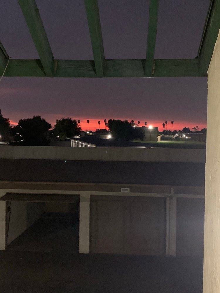 PINEWOOD VILLAGE APARTMENTS Updated August 2024 15 Photos 1919 E