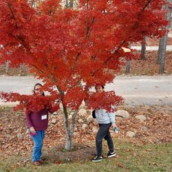 Autumn at Ashram